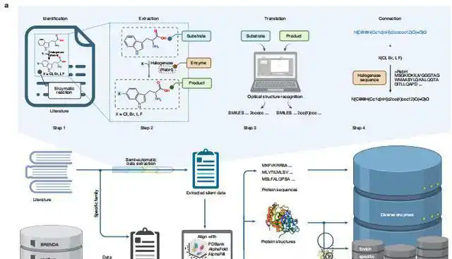酶与底物的“舞会密码”工具如何成就合成生物学新未来？