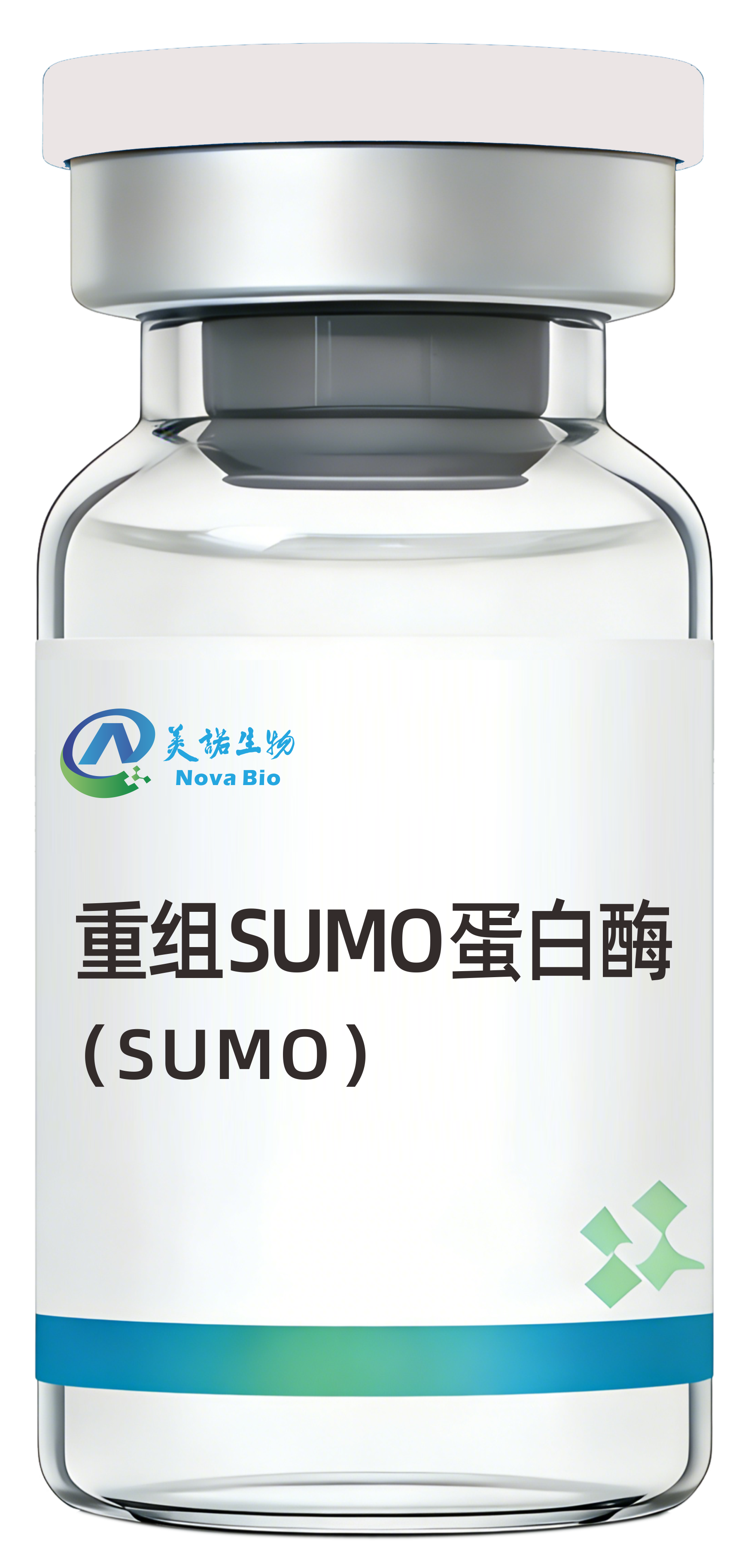 重组SUMO蛋白酶