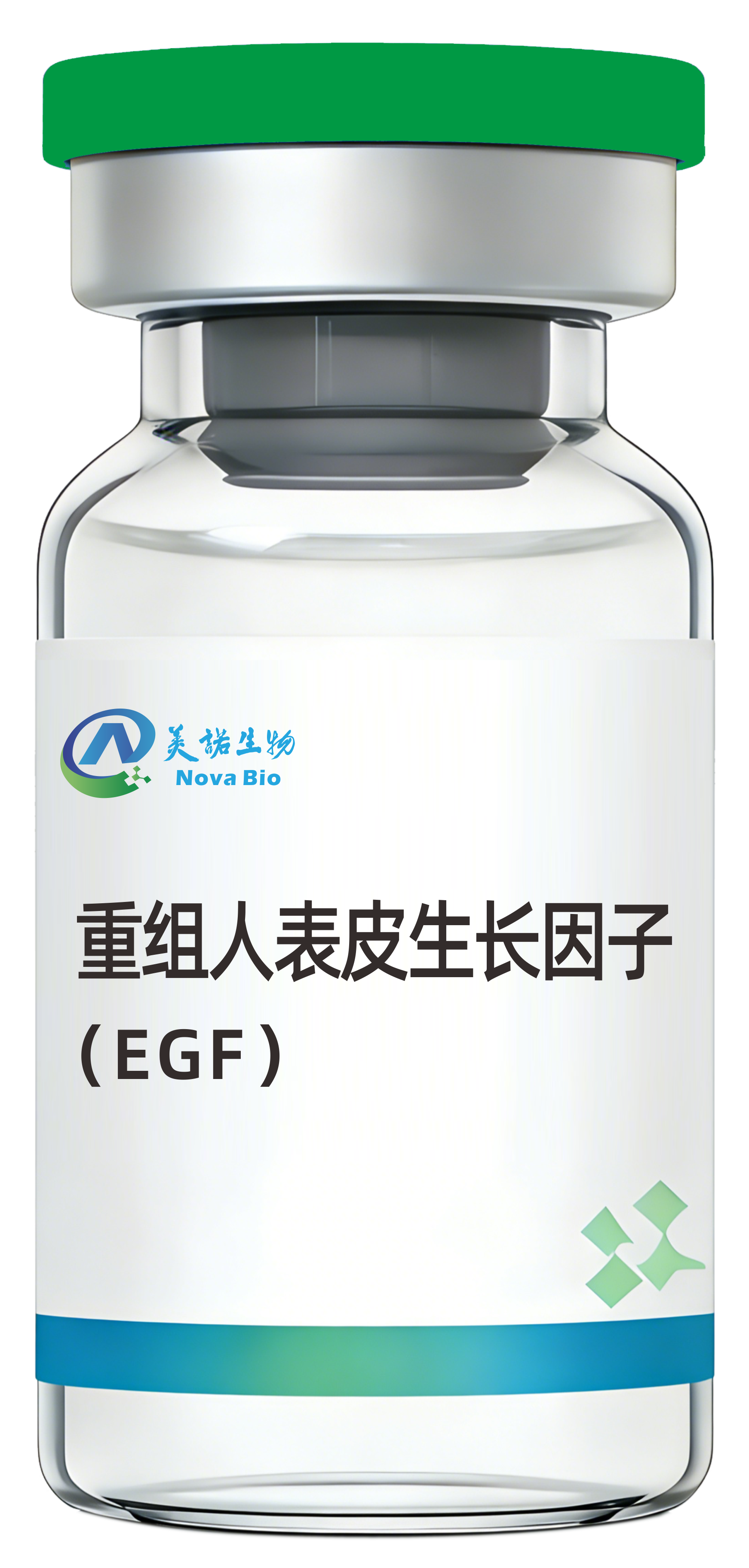 重组人表皮生长因子（EGF）